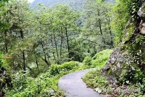 伊朗总统称将对以色列“罪行”作出回应