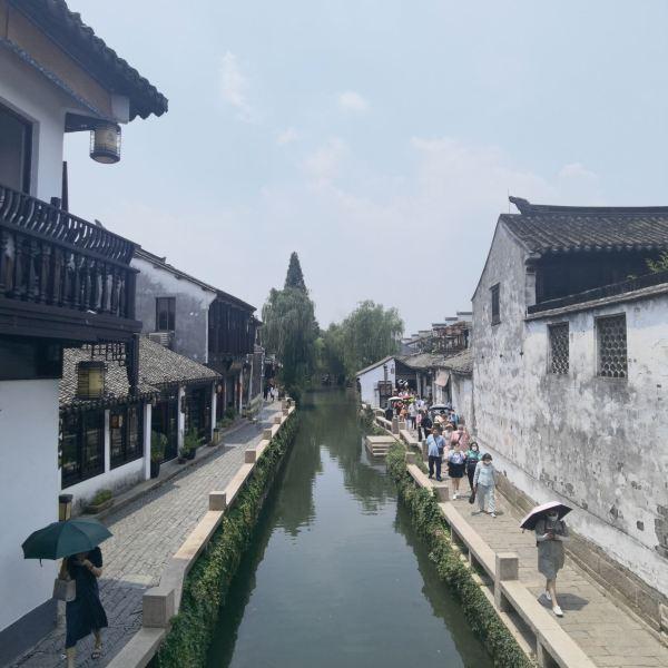救援袋鼬